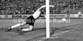 VfB Stuttgart - 1. FC K&ouml;ln