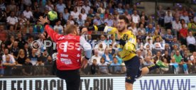 TVB Stuttgart - Rhein-Neckar L&ouml;wen