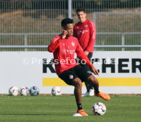 VfB Stuttgart Training