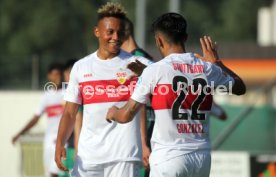 FC Wacker Innsbruck - VfB Stuttgart