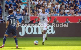 20.09.25 TSG 1899 Hoffenheim - FC Bayern M&uuml;nchen