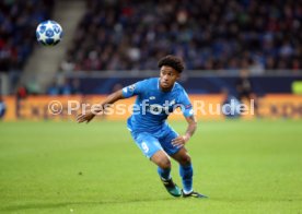 TSG 1899 Hoffenheim - Olympique Lyon