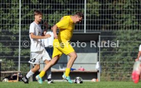 23.08.26 TSV Ph&ouml;nix Steinsfurt - SV Tiefenbach