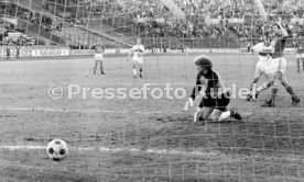 VfB Stuttgart - Bayer 05 Uerdingen