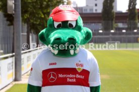 VfB Stuttgart Fototermin 2019/2020