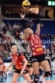 Dresdener SC - Allianz MTV Stuttgart