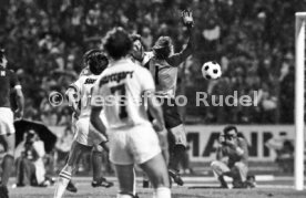 VfB Stuttgart - Cosmos New York