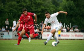 FC Z&uuml;rich - VfB Stuttgart