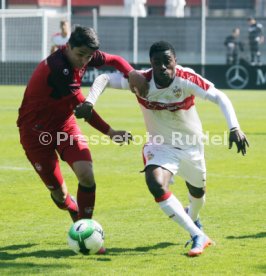 U 17 VfB Stuttgart - U19 1. FC Kaiserslautern
