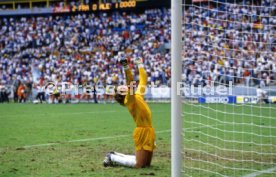 FIFA WM 1986