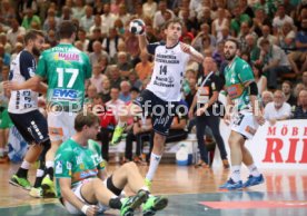 Frisch Auf G&ouml;ppingen - SG Flensburg-Handewitt