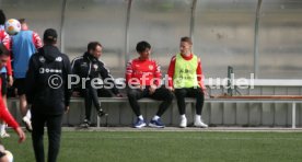 27.03.24 VfB Stuttgart Training