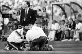 14.06.88 Deutschland - D&auml;nemark