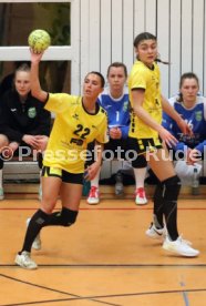 11.02.22 TV Nellingen - Frisch Auf G&ouml;ppingen II