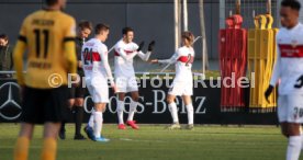 VfB Stuttgart - SG Dynamo Dresden