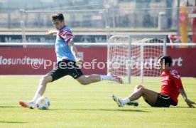 26.09.23 VfB Stuttgart Training