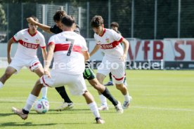 31.08.24 U19 VfB Stuttgart - U19 VfL Wolfsburg