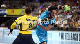 TVB Stuttgart - Rhein-Neckar L&ouml;wen