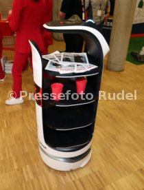 13.04.25 VfB Stuttgart - SV Werder Bremen