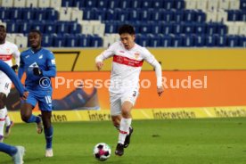 21.11.20 TSG 1899 Hoffenheim - VfB Stuttgart