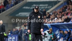 23.02.25 TSG 1899 Hoffenheim - VfB Stuttgart