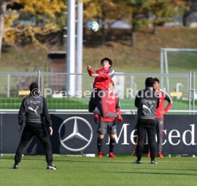 VfB Stuttgart Training