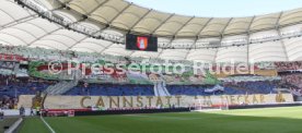 VfB Stuttgart - TSG 1899 Hoffenheim