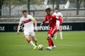 U19 VfB Stuttgart - U17 FC Bayern M&uuml;nchen