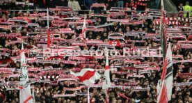 11.11.23 VfB Stuttgart - Borussia Dortmund