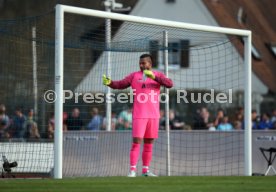 Tim Wiese (SSV Dillingen)