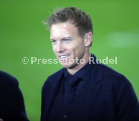 TSG 1899 Hoffenheim - Olympique Lyon