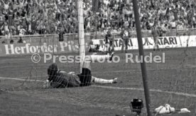 DFB-Pokal Finale 1987 Hamburger SV - Stuttgarter Kickers
