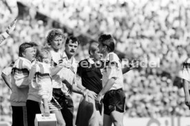 14.06.88 Deutschland - D&auml;nemark