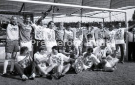 05.06.1993 VfB Stuttgart - SV Werder Bremen