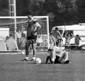 DFB Training