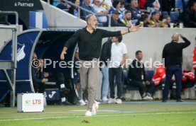 29.09.23 TSG 1899 Hoffenheim - Borussia Dortmund