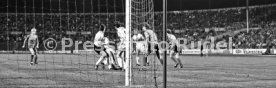 VfB Stuttgart - 1. FC K&ouml;ln