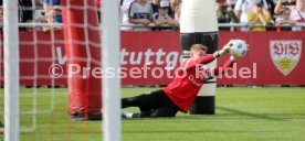 03.10.23 VfB Stuttgart Training