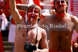 14.06.88 Deutschland - D&auml;nemark