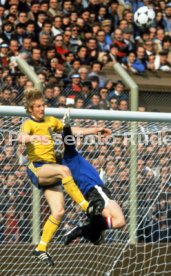FIFA WM 1978