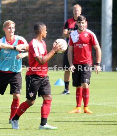 VfB Stuttgart