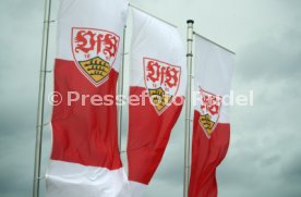 13.03.21 VfB Stuttgart II - FC Astoria Walldorf