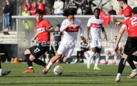 03.03.24 VfB Stuttgart II - TSG Balingen