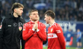 23.02.25 TSG 1899 Hoffenheim - VfB Stuttgart