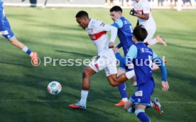 05.01.25 VfB Stuttgart - FC Luzern