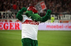 VfB Stuttgart - Fortuna D&uuml;sseldorf