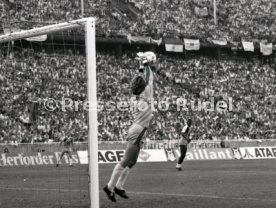 DFB-Pokal Finale 1987 Hamburger SV - Stuttgarter Kickers