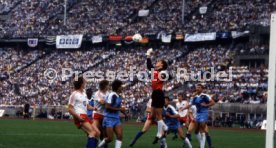DFB-Pokal Finale 1987 Hamburger SV - Stuttgarter Kickers