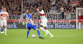 22.09.23 VfB Stuttgart - SV Darmstadt 98