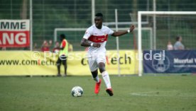 TSG Backnang - VfB Stuttgart